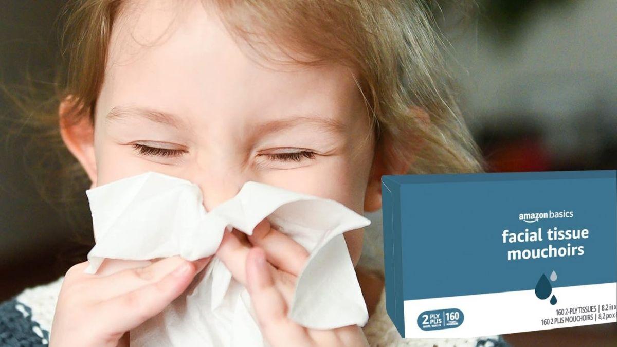 image for Amazon Basics Facial Tissue: Everyday Comfort That Fits Your Household Budget